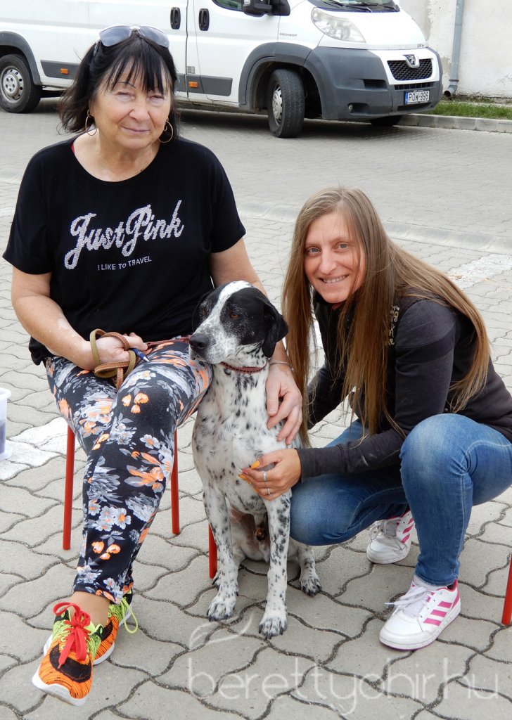 10 éves a Pethouse állatorvosi rendelő 17